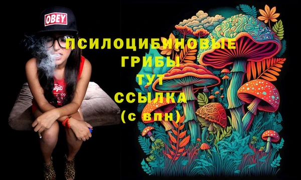 кокаин премиум Белокуриха