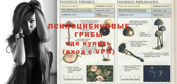 ALPHA-PVP Белоозёрский